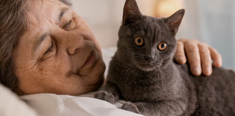 ¿Cuándo empiezan los gatos a querer a sus dueños?