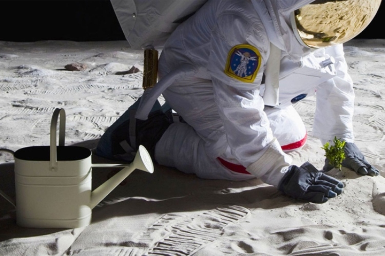 Investigadores logran cultivar en la Luna: un paso clave para la vida espacial