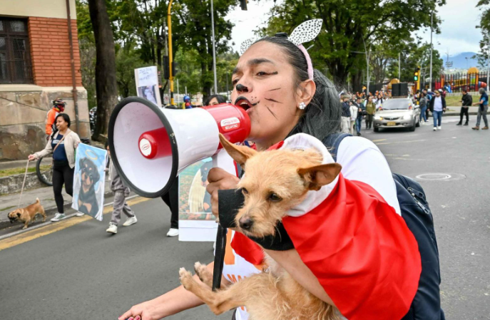 animales en Pasto