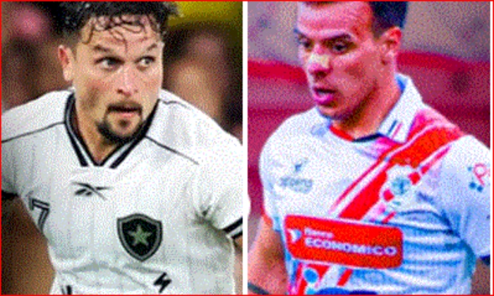 Copa Libertadores- EN VIVO- 25FEB- Botafogo- Independiente Potosí-