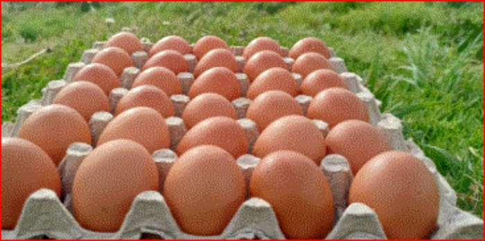 Huevos- Colombia- Fenavi-