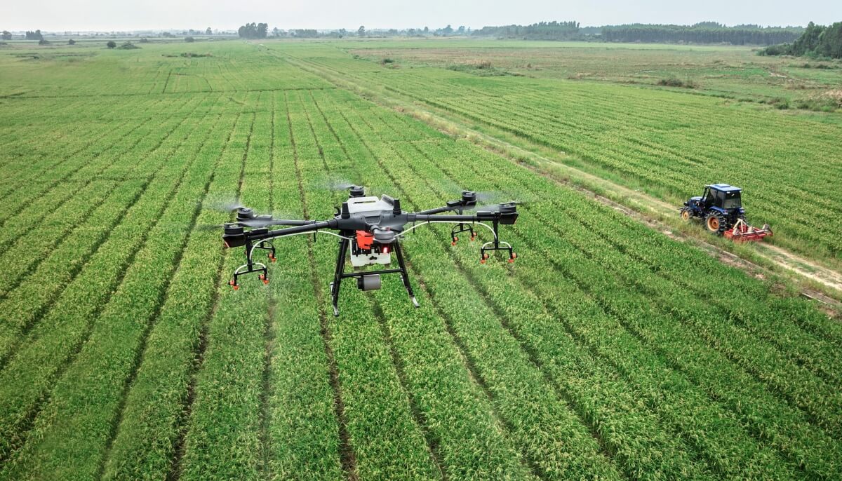 El sector agrícola es uno de los pilares fundamentales de la economía colombiana y su fortalecimiento resulta clave para el desarrollo sostenible del país. Apoyar a los agricultores no solo garantiza la producción de alimentos, sino que también impulsa el empleo, reduce la pobreza rural y contribuye a la seguridad alimentaria nacional.