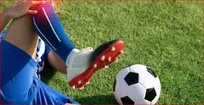 Copa Mundial 2026- Fútbol- leiones-