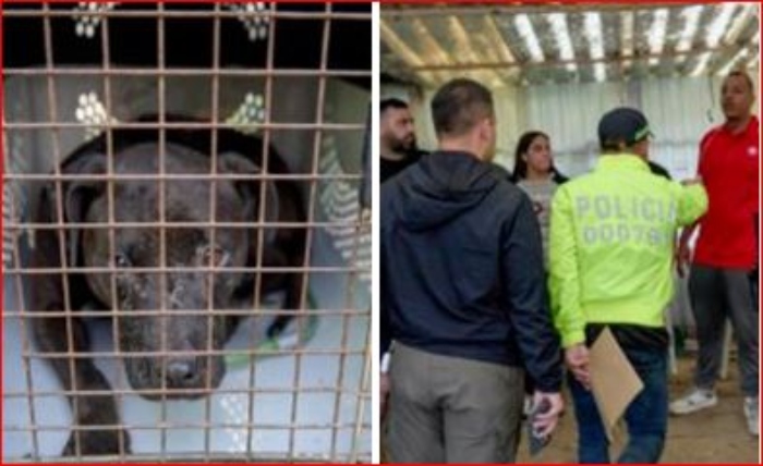 Fiscalía- cárcel- pelea de perros- La Calera-
